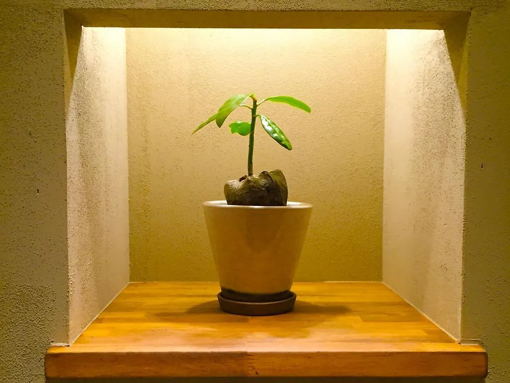 Fairfield House Hostel Kyoto